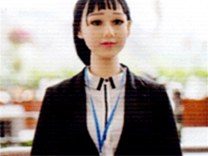 仿真人體專用硅橡膠